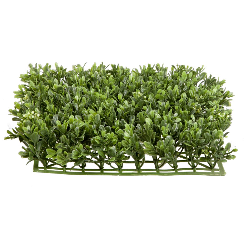 Buchsplatte grün, 28 x 28 cm