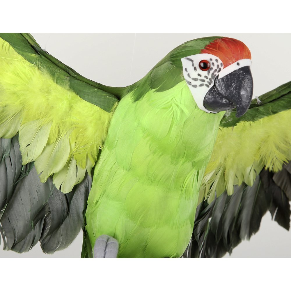 Papagei fliegend grün, 60 cm