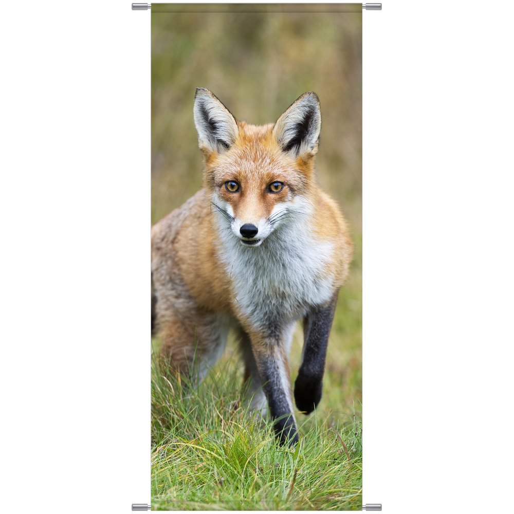 Banner Fuchs natur, 75 x 180 cm