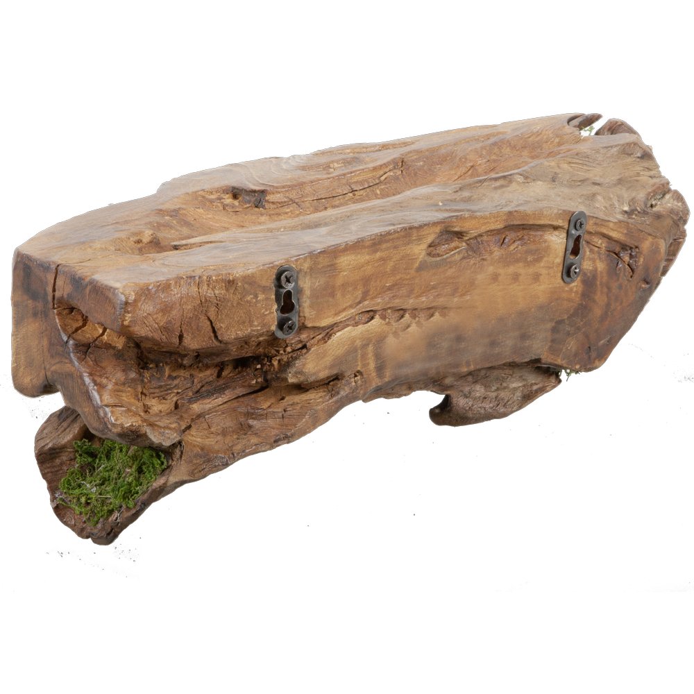 Stück Edelholz mit Moos, 39 cm