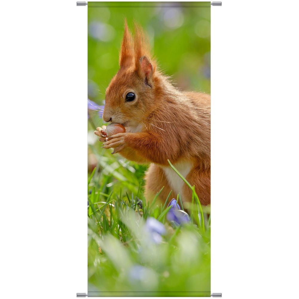Banner Eichhörnchen im Gras braun/grün,75 x 180 cm
