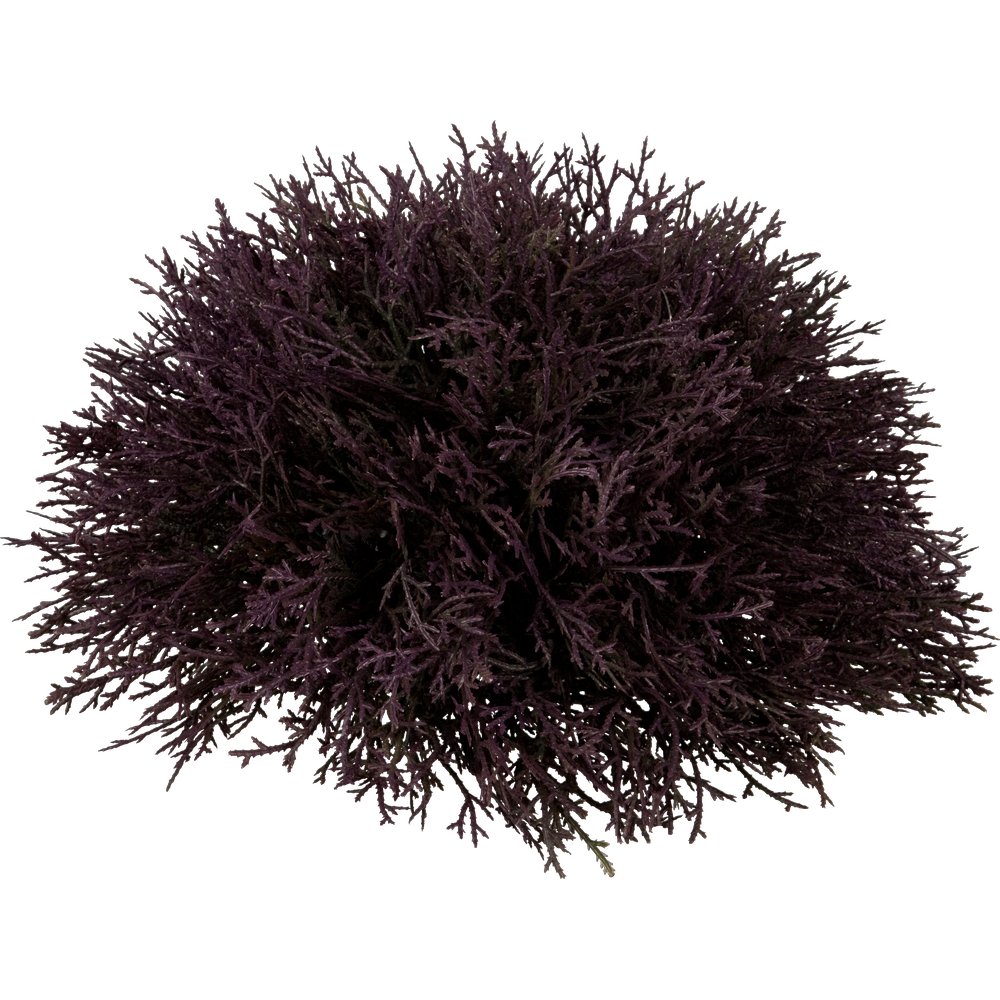 Zedern Halbkugel burgund, Ø 31 cm