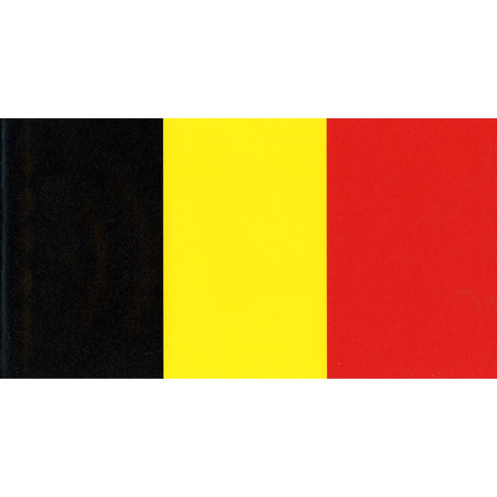 Flaggenkette Euro 24-Nationen  bunt, L 7,50 m