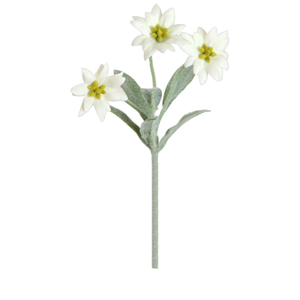 Edelweiß Zweig mit 3 Blüten creme, 23 cm