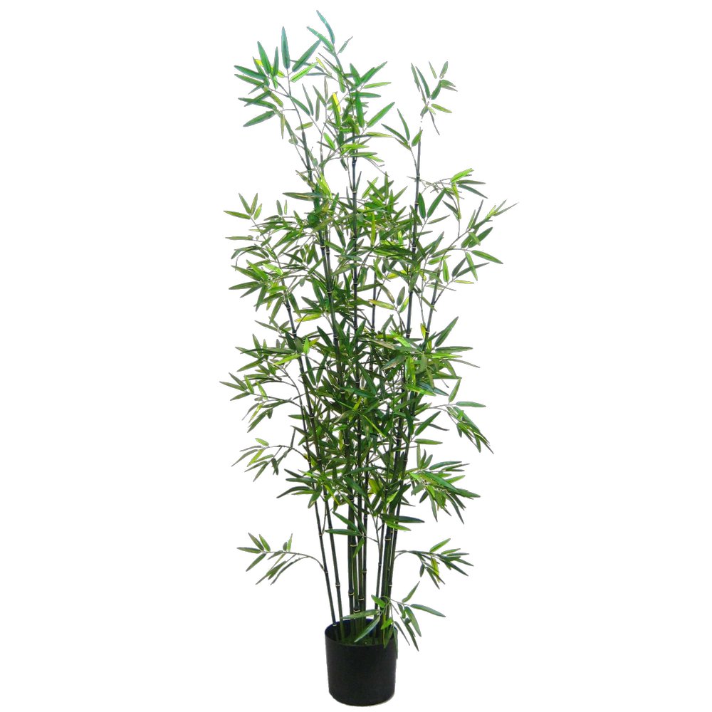 Bambus im Topf grün, 180 cm
