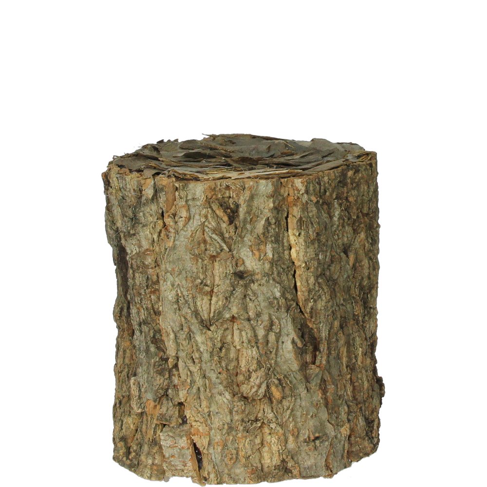 Baumstamm Rinde, Ø 12 x 13 cm
