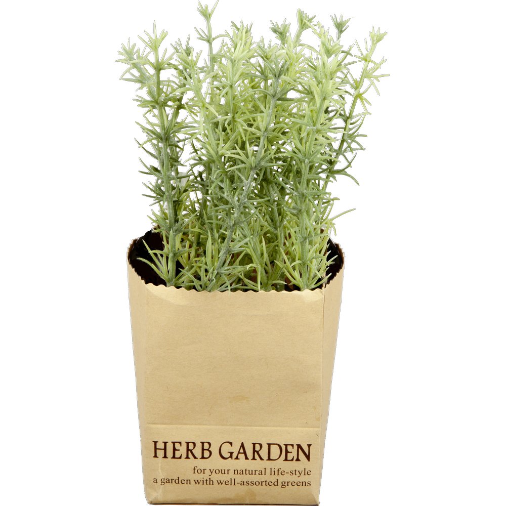 Rosmarin in Paperbag, 18 cm