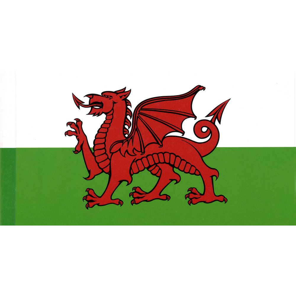 Flaggenkette Euro 24-Nationen  bunt, L 7,50 m