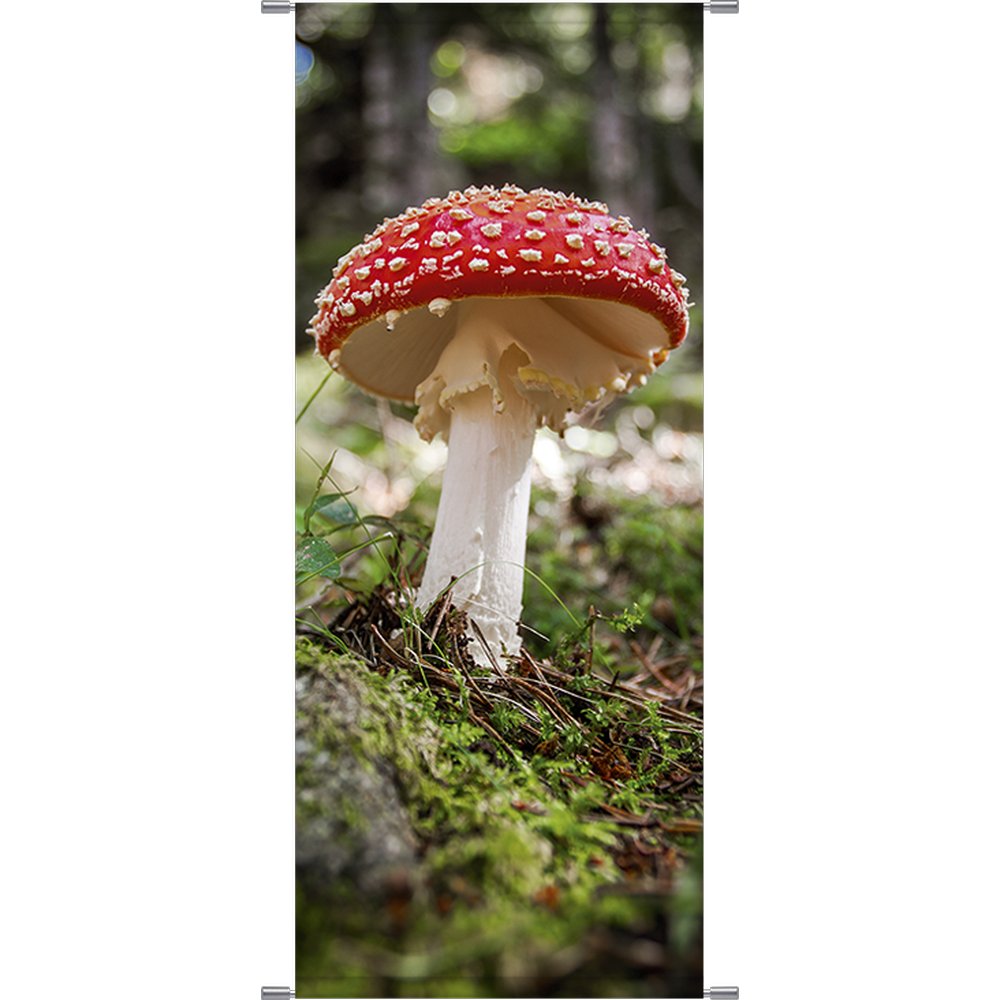 Banner Fliegenpilz, 75 x 180 cm