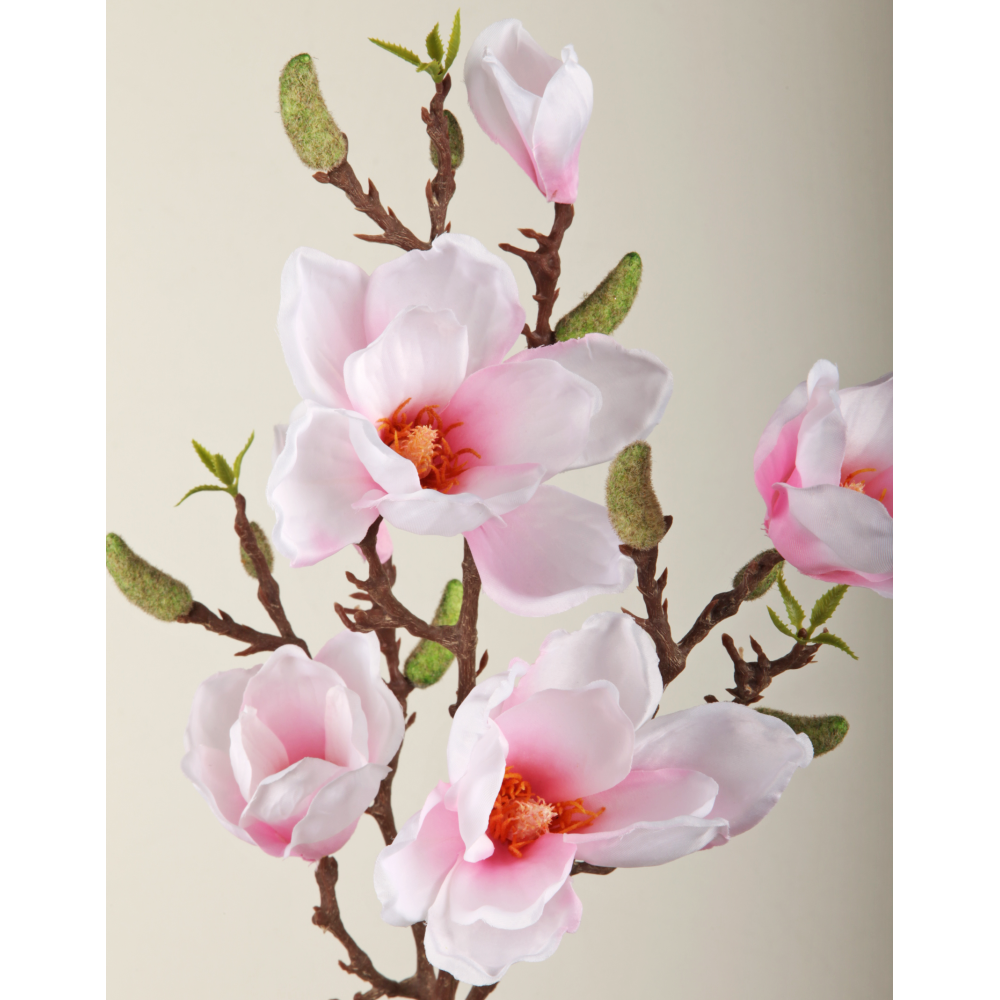 Magnolienzweig Queens weiß/pink, 81 cm