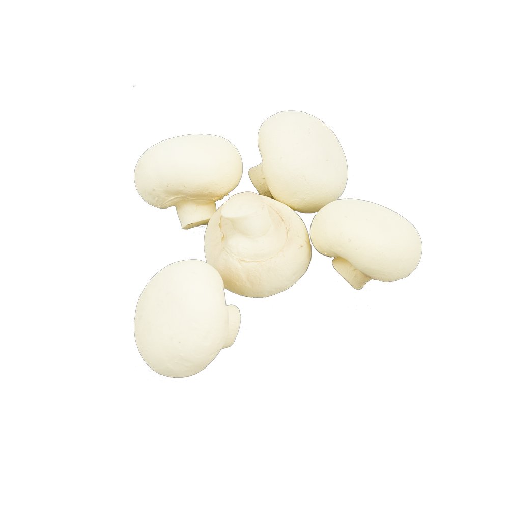 Champignons 5 Stück, Ø 4,5 cm