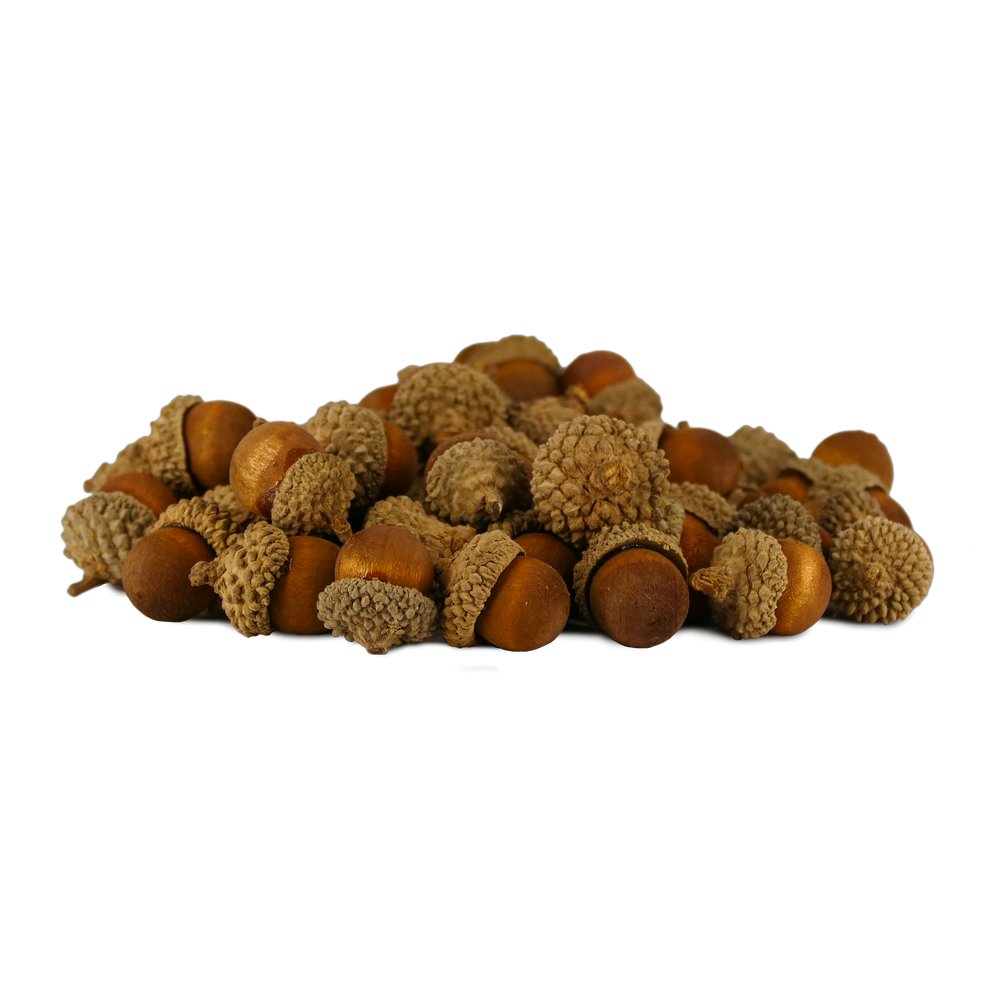 Eicheln im Netz 160 g, ca. 60 Stück, Ø 2,5-3 cm