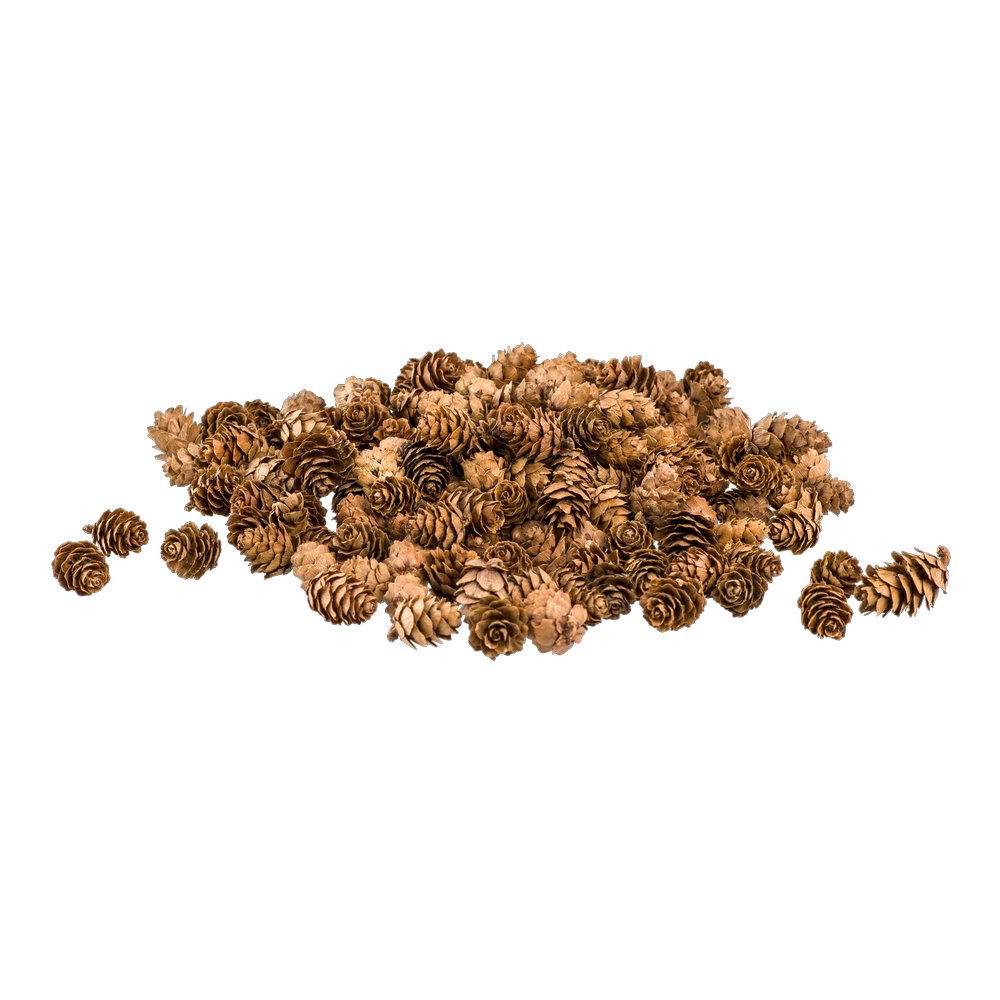 Tannenzapfen Mini im Beutel, braun, ca. 150 Stück, 2-3 cm