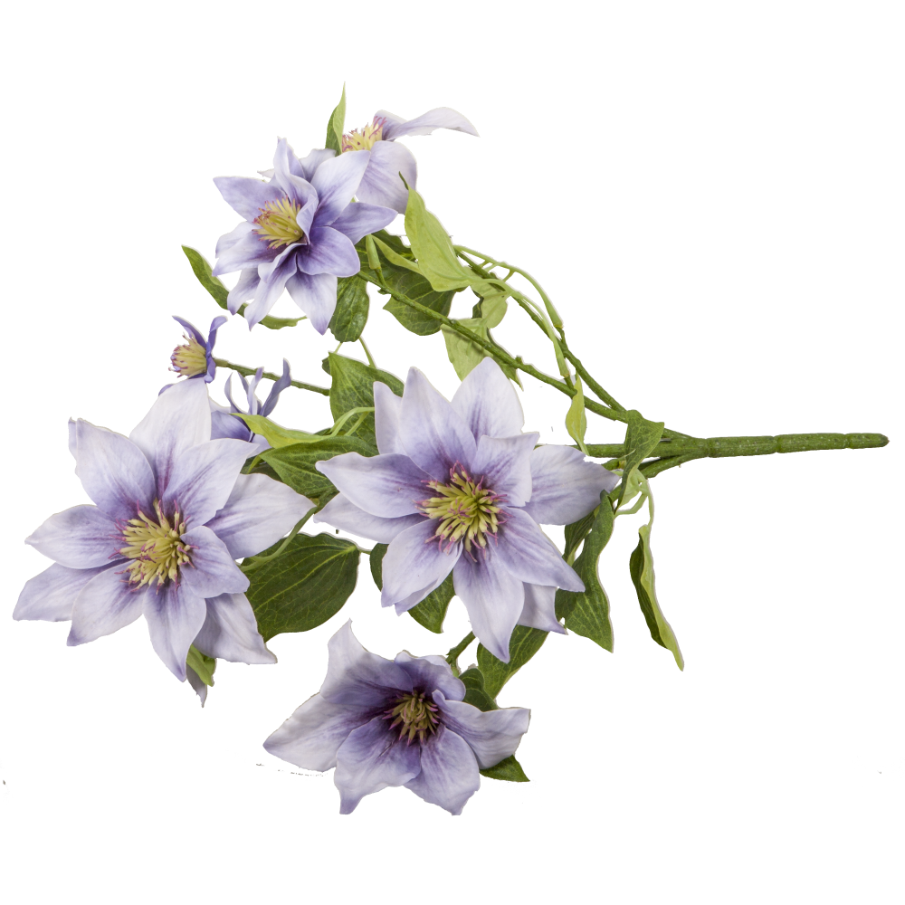 Clematis Busch grün/lavendel, Ø 30 x H 40 cm