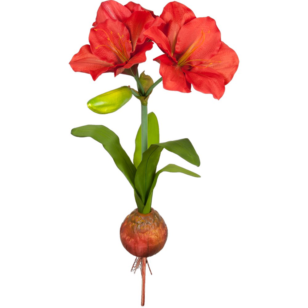 Amaryllis Pflanze XL rot, Ø 50 x 108 cm