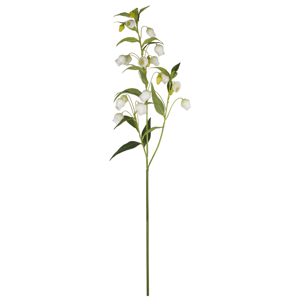 Lampionblume mit 21 Blüten grün/weiß, 120 cm