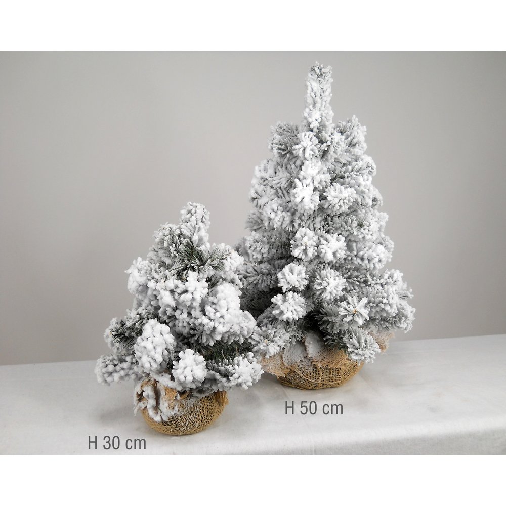 Tannenbaum im Jutesack beschneit, H 50 cm, Ø 40 cm