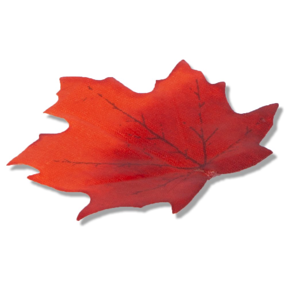 Ahornblätter ohne Stiel herbstbunt, 48 Stück, 5-9 cm