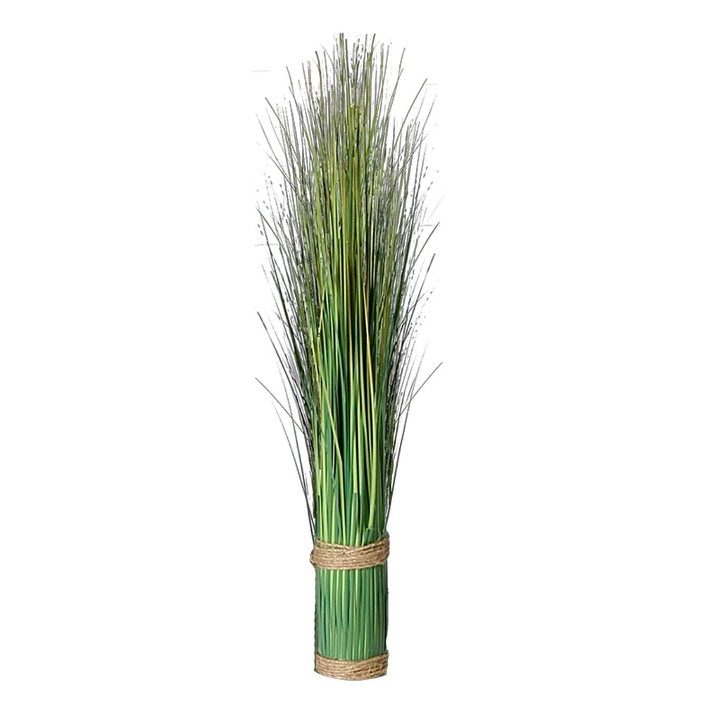 Grasbüschel Festuca, 30 cm, Ø 5 cm