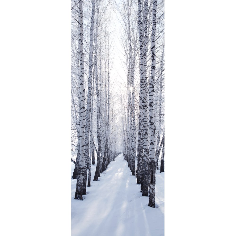 Banner Winter-Birkenwald, 75 x 180 cm