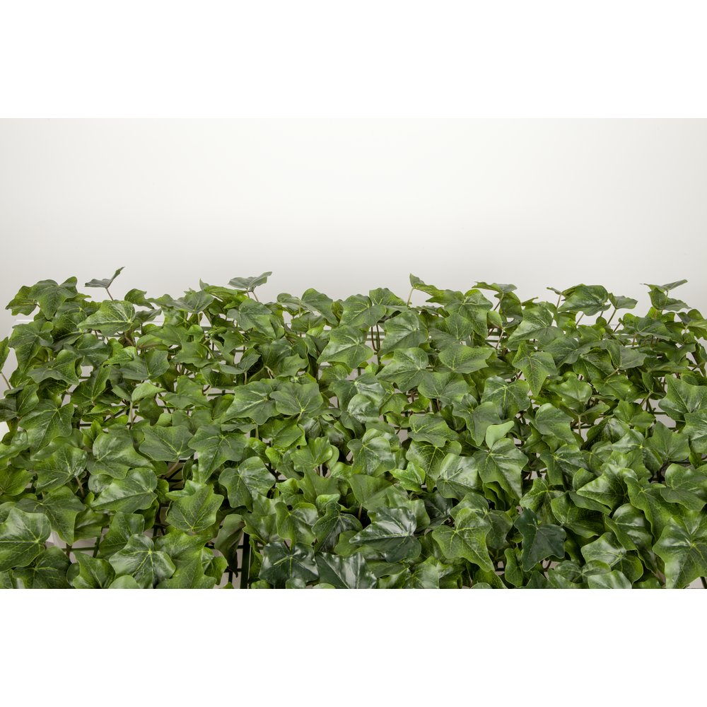 Efeuplatte XL Waterproof