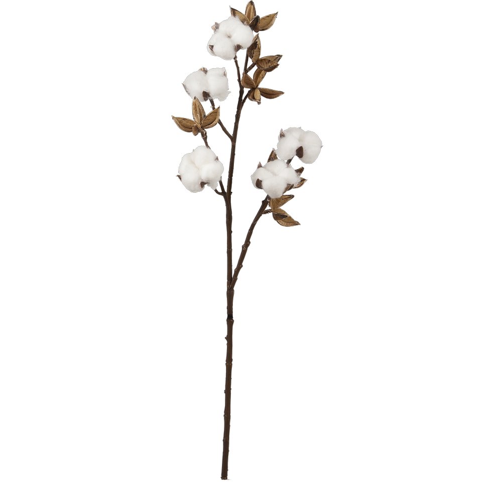 Baumwollzweig 5 Blüten braun/weiß, 60 cm