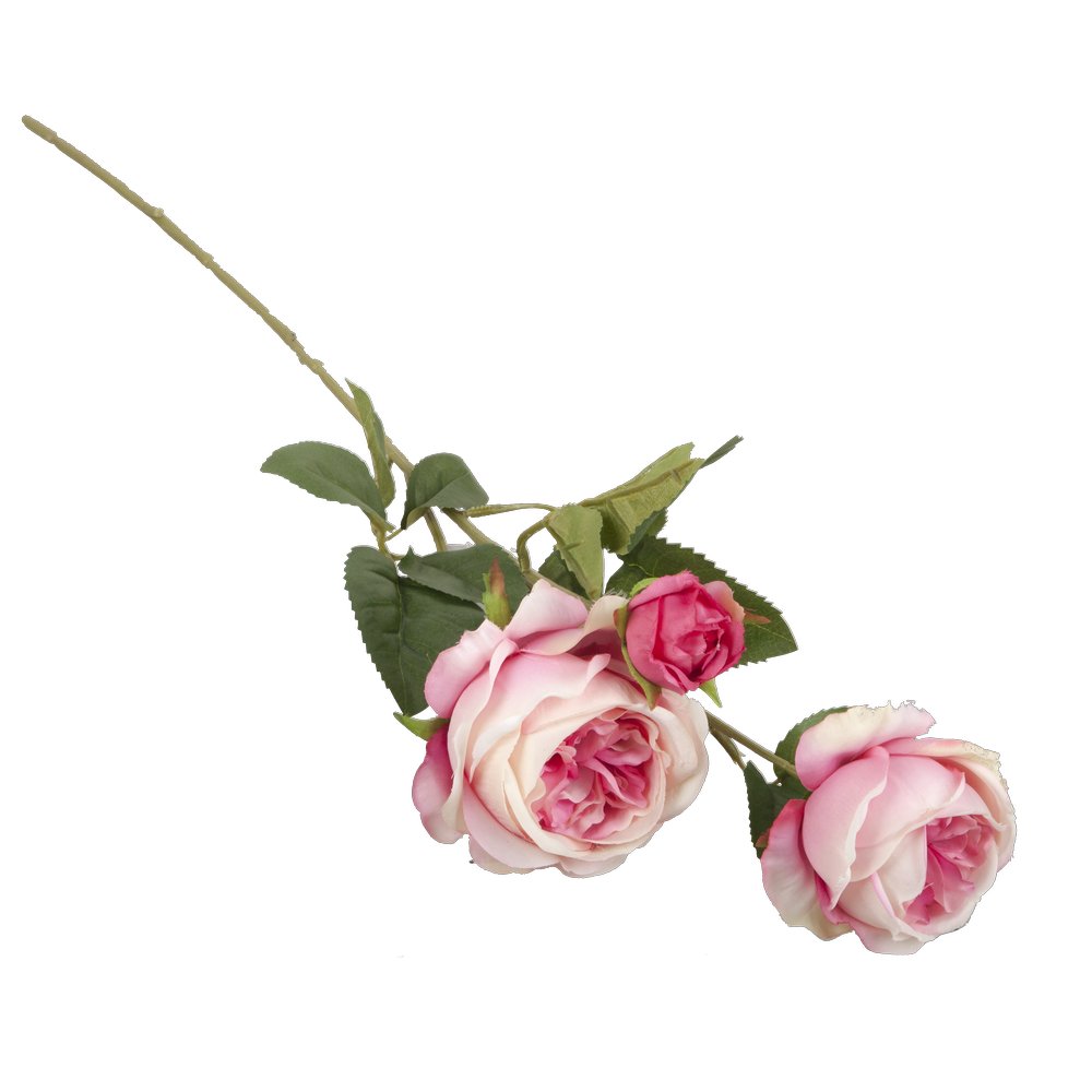 Englische Rosen als Zweig x3 rosa/pink, Ø 20 x L 64 cm