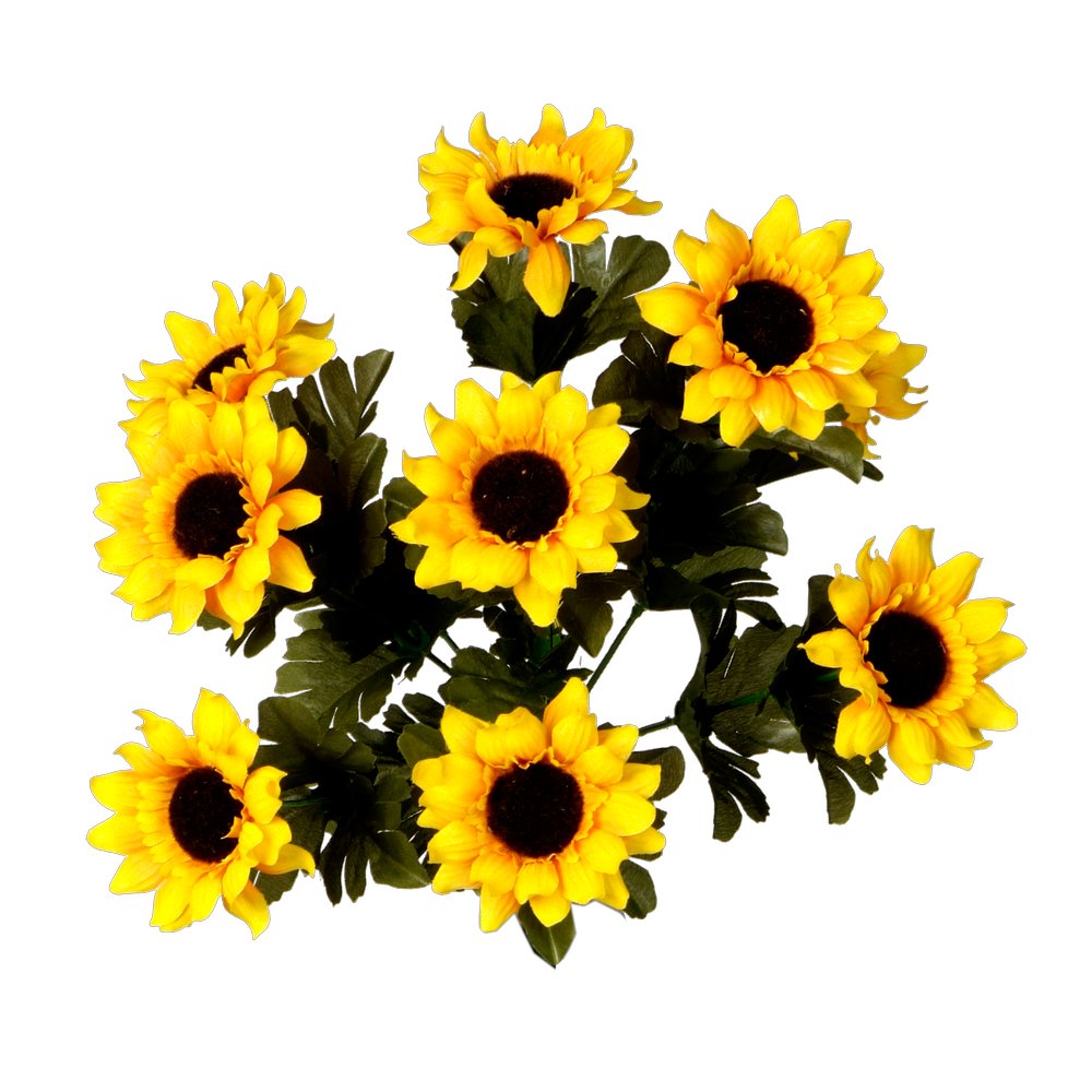 Sonnenblumenbusch 9 Blüten, Ø 30 cm