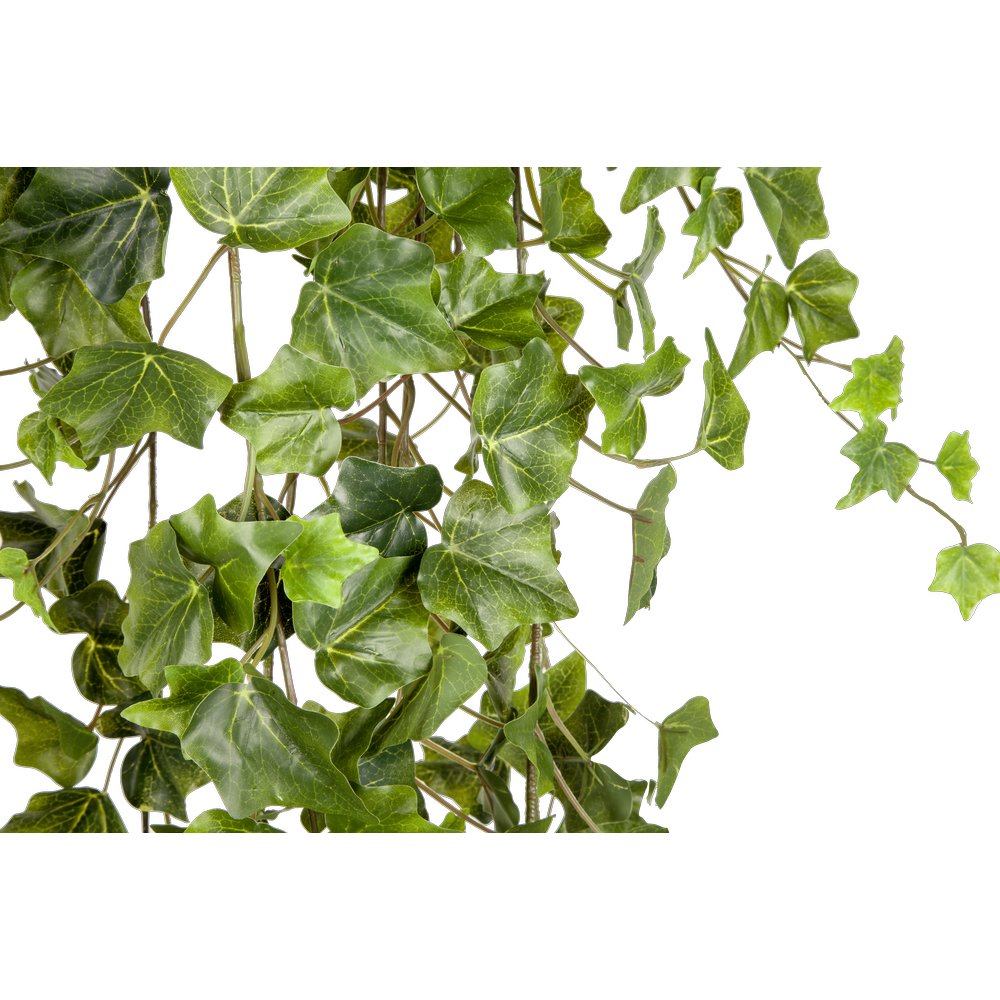 Efeuhänger Waterproof grün, 180 cm