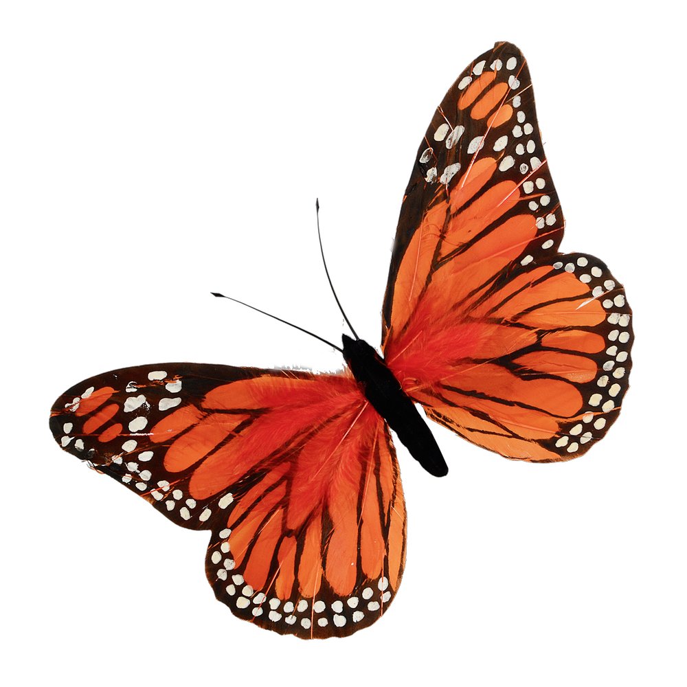 Schmetterling aus Federn orange  B 30 cm, H 18 cm