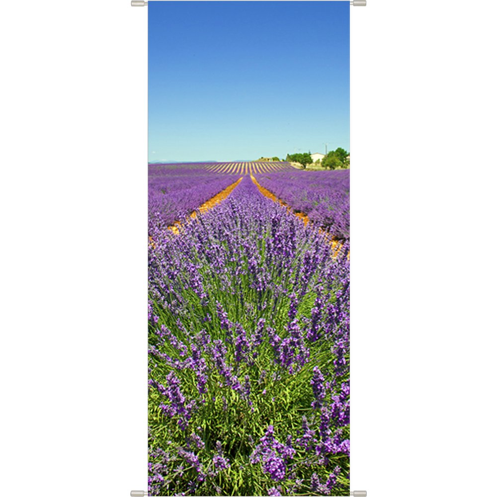 Banner Lavendelfeld, 75 x 180 cm
