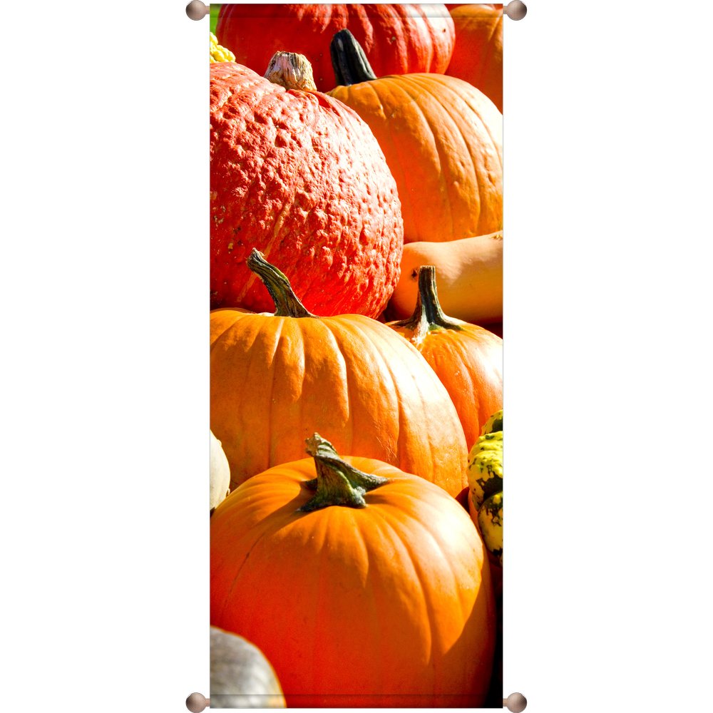 Banner Kürbisse, 75 x 180 cm