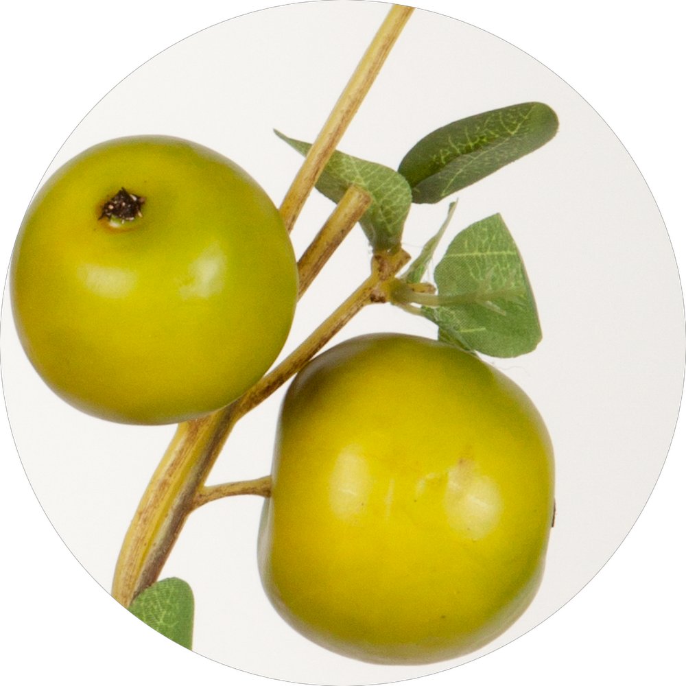 Apfelzweig natural grün, 20 x 94 cm