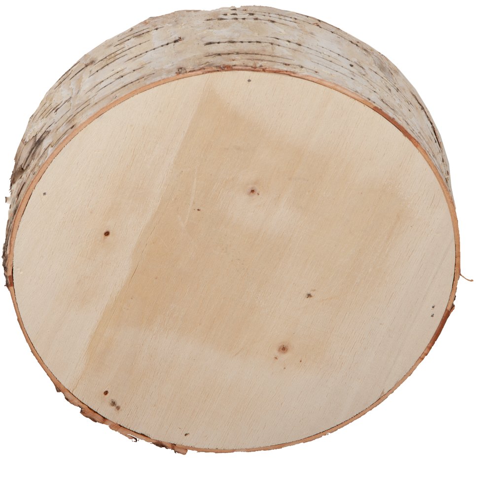 Holz-Baumscheibe dick natur,Ø 20 cm, 6 cm dick
