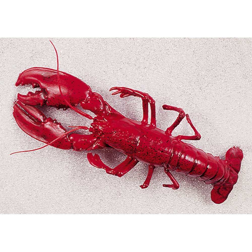 Hummer groß Kunststoff rot, 50 x 18 cm