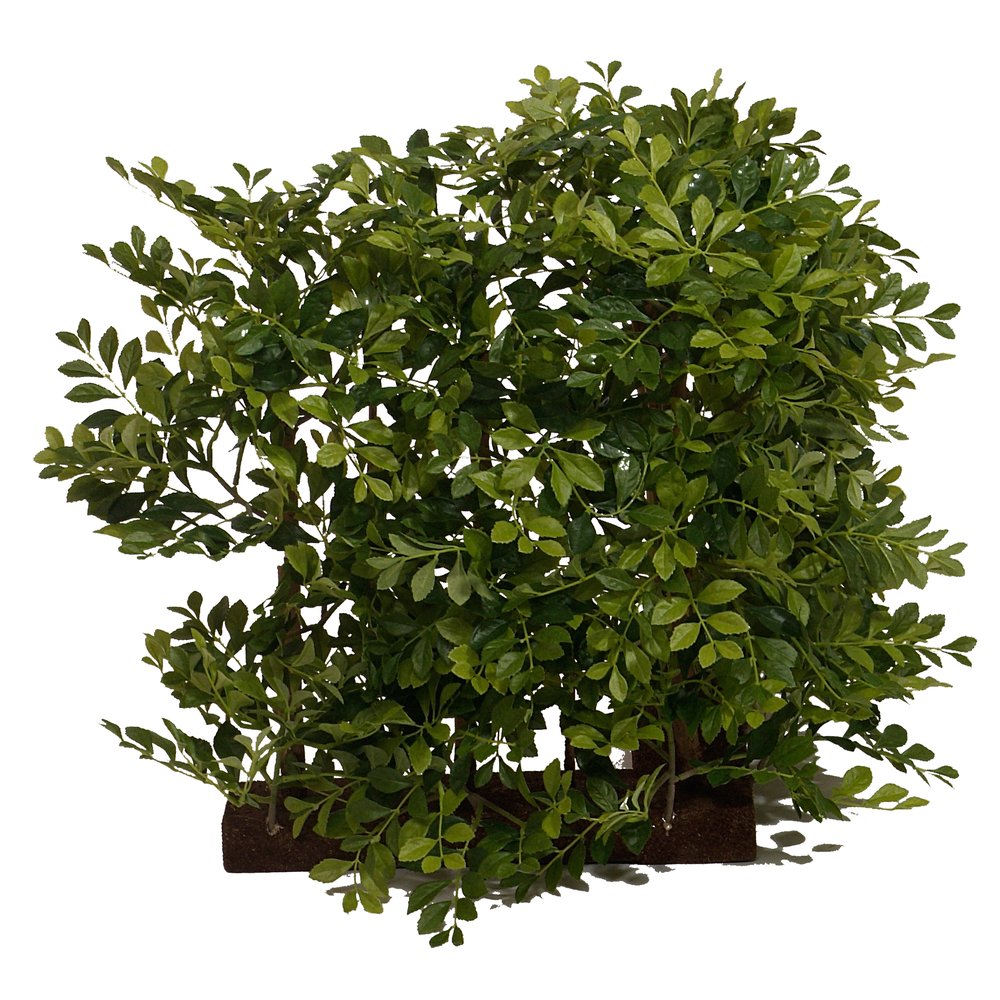 Blätterzaun Winkel, 50 cm