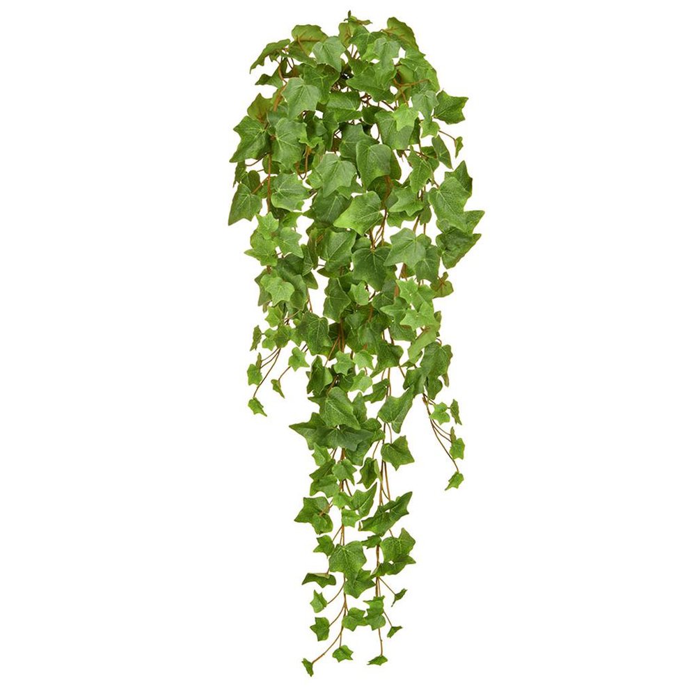 Efeu Hänger B1, 86 cm