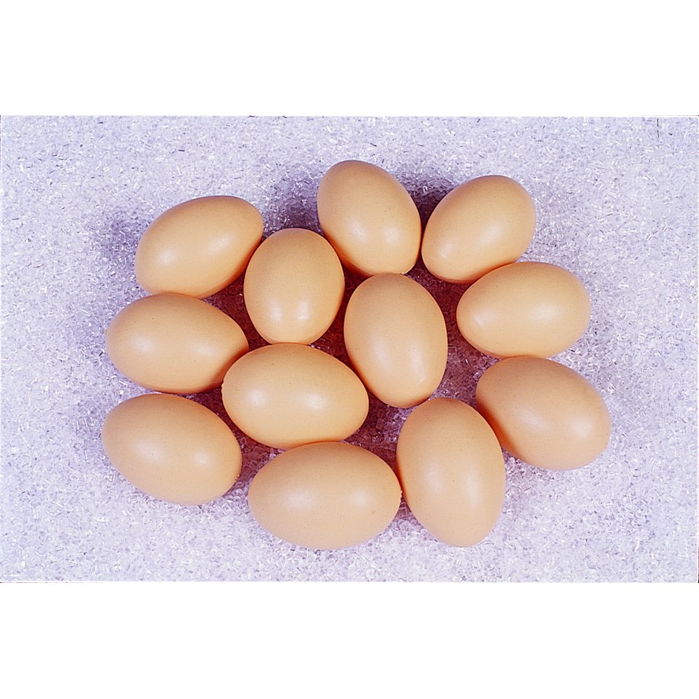 Eier Attrappen aus Kunststoff 12 Stück/1 Dutzend braun