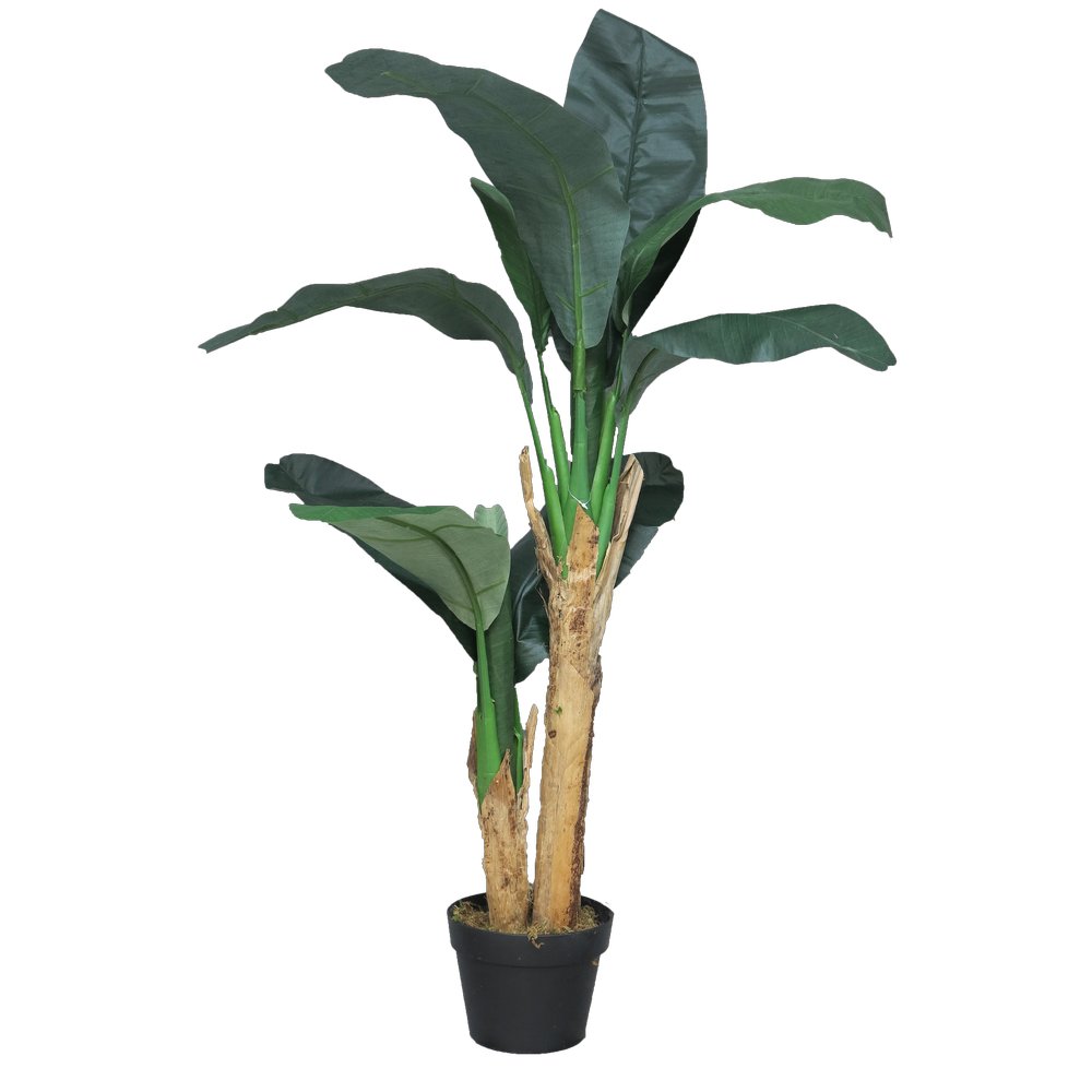 Bananenbaum getopft, 120 cm