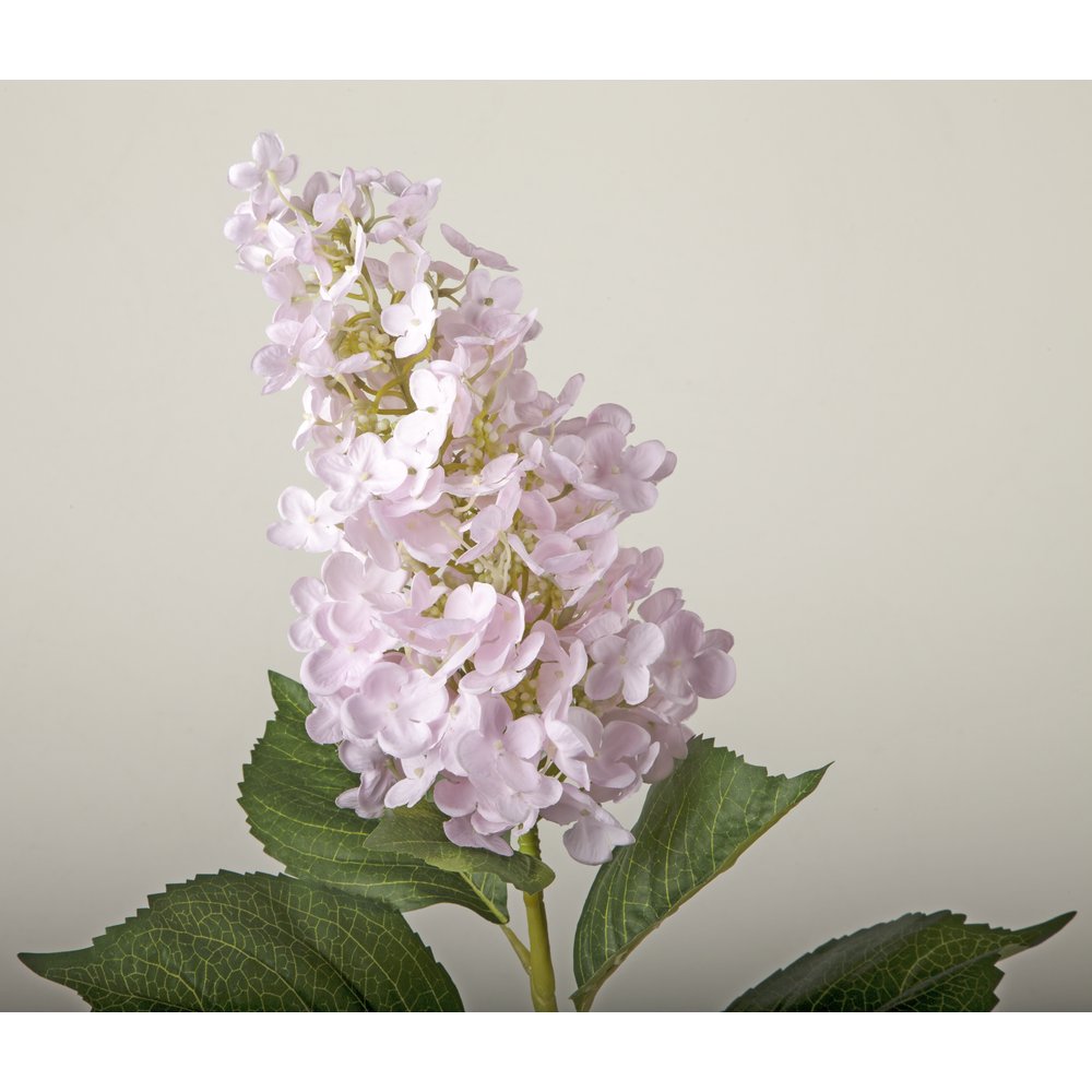 Hortensie XL grün/rosa, 96 cm