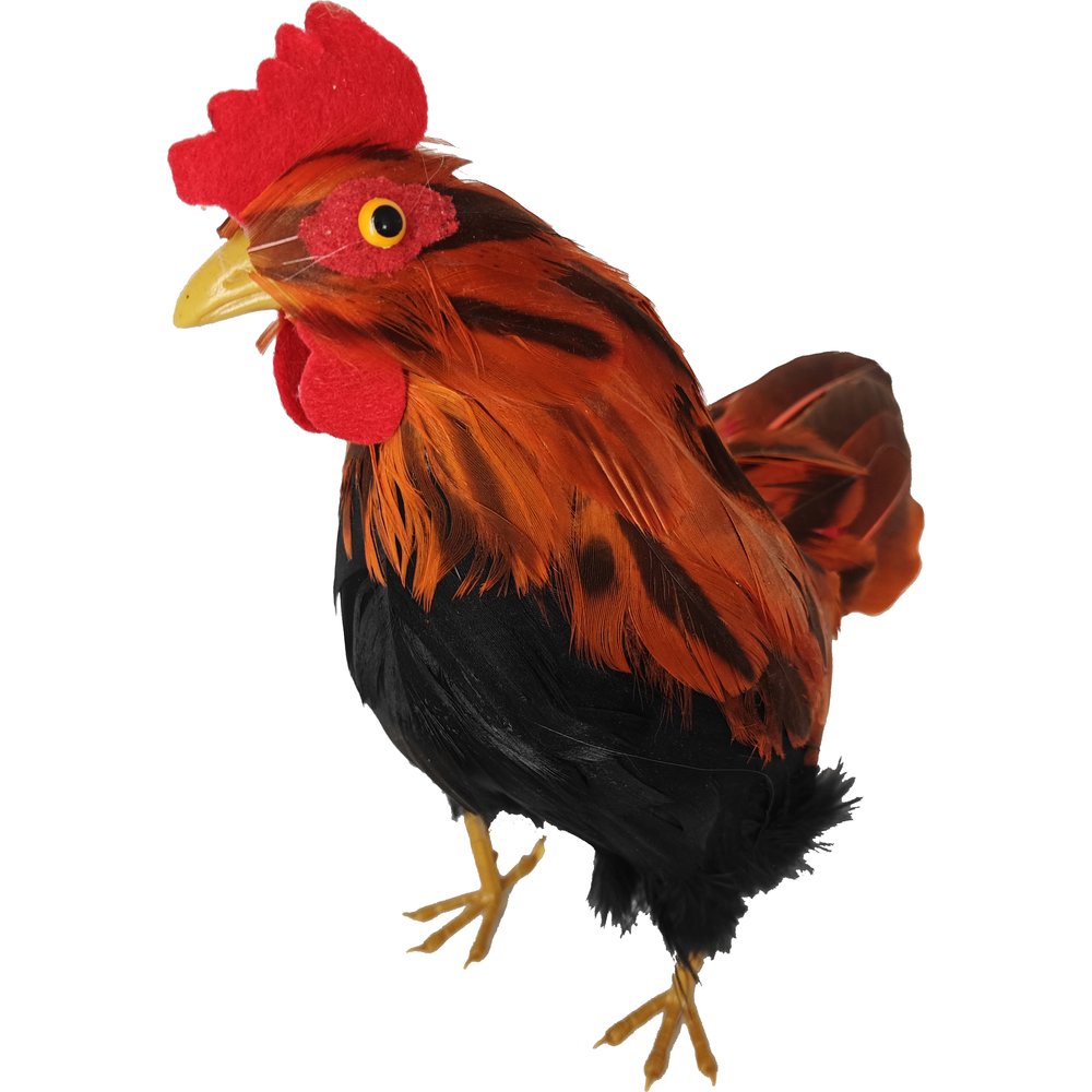 Huhn Natural bunt,H 20 cm