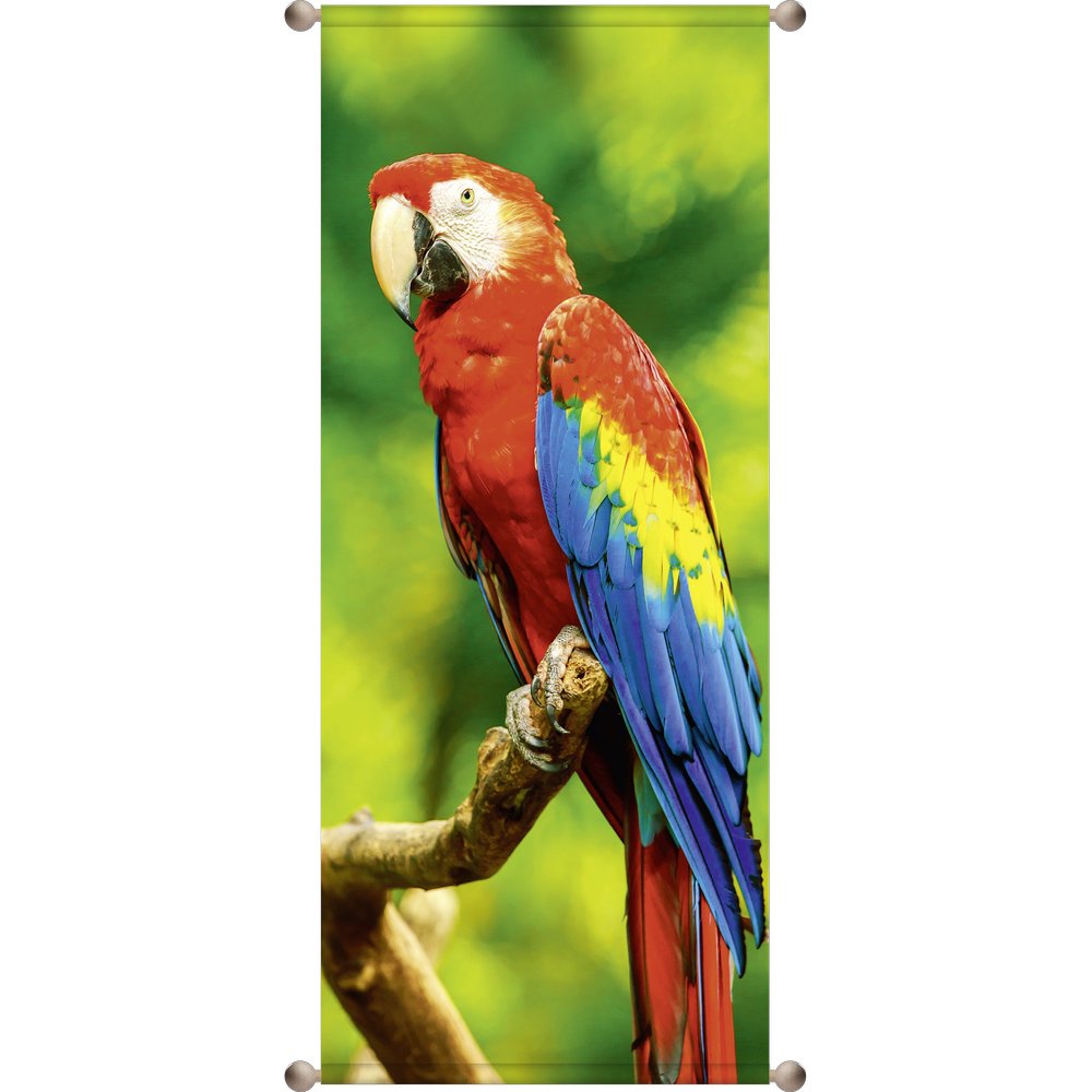 Banner Papagei auf Ast, 75 x 180 cm