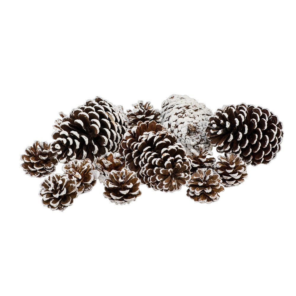 Tannenzapfen beschneit im Beutel, braun-weiß, 15 Stück, 4-13 cm