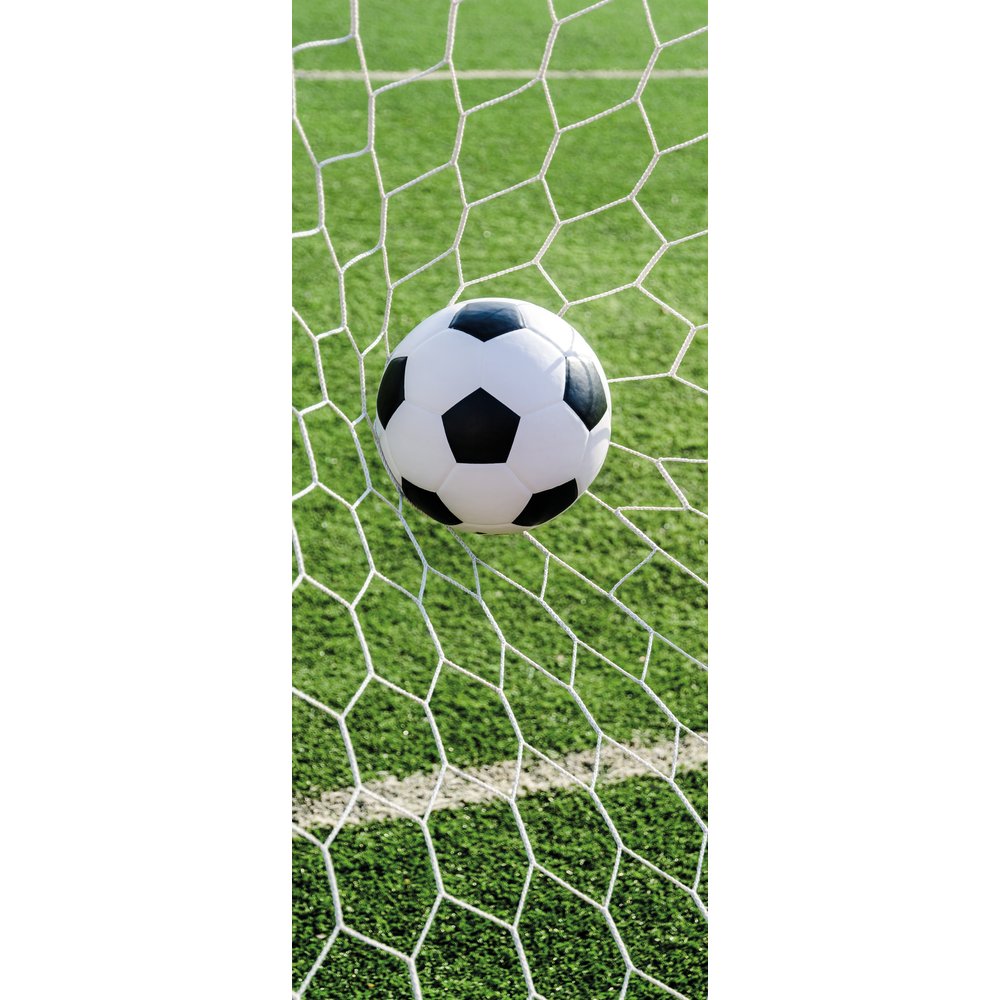 Banner Fußball im Netz, 75 x 180 cm