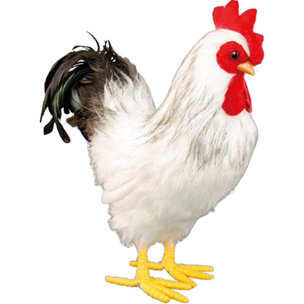 Hahn Atrappe Federfuß weiß Höhe 32 cm