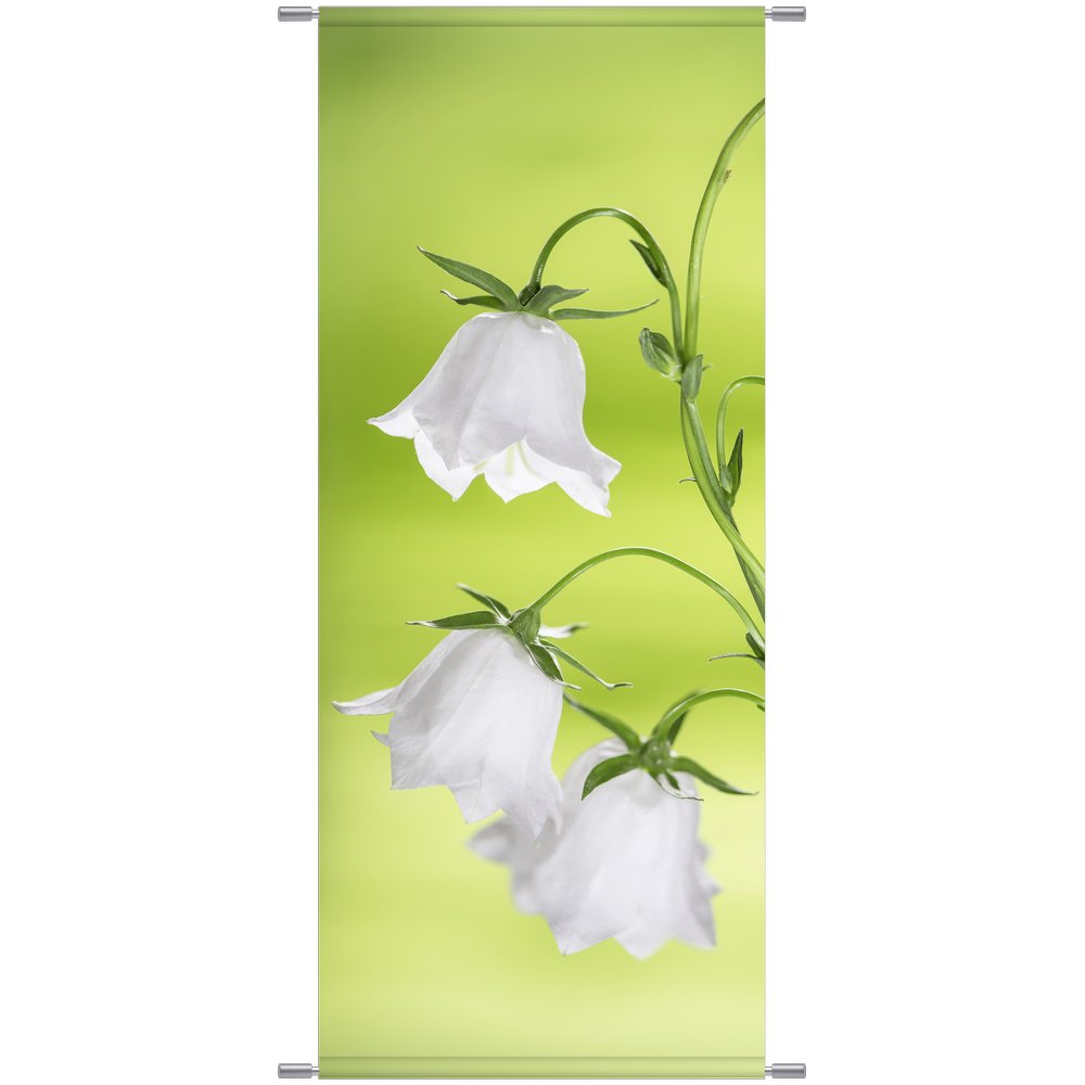 Banner Lampion-Glockenblüten grün/weiß, 75 x 180 cm
