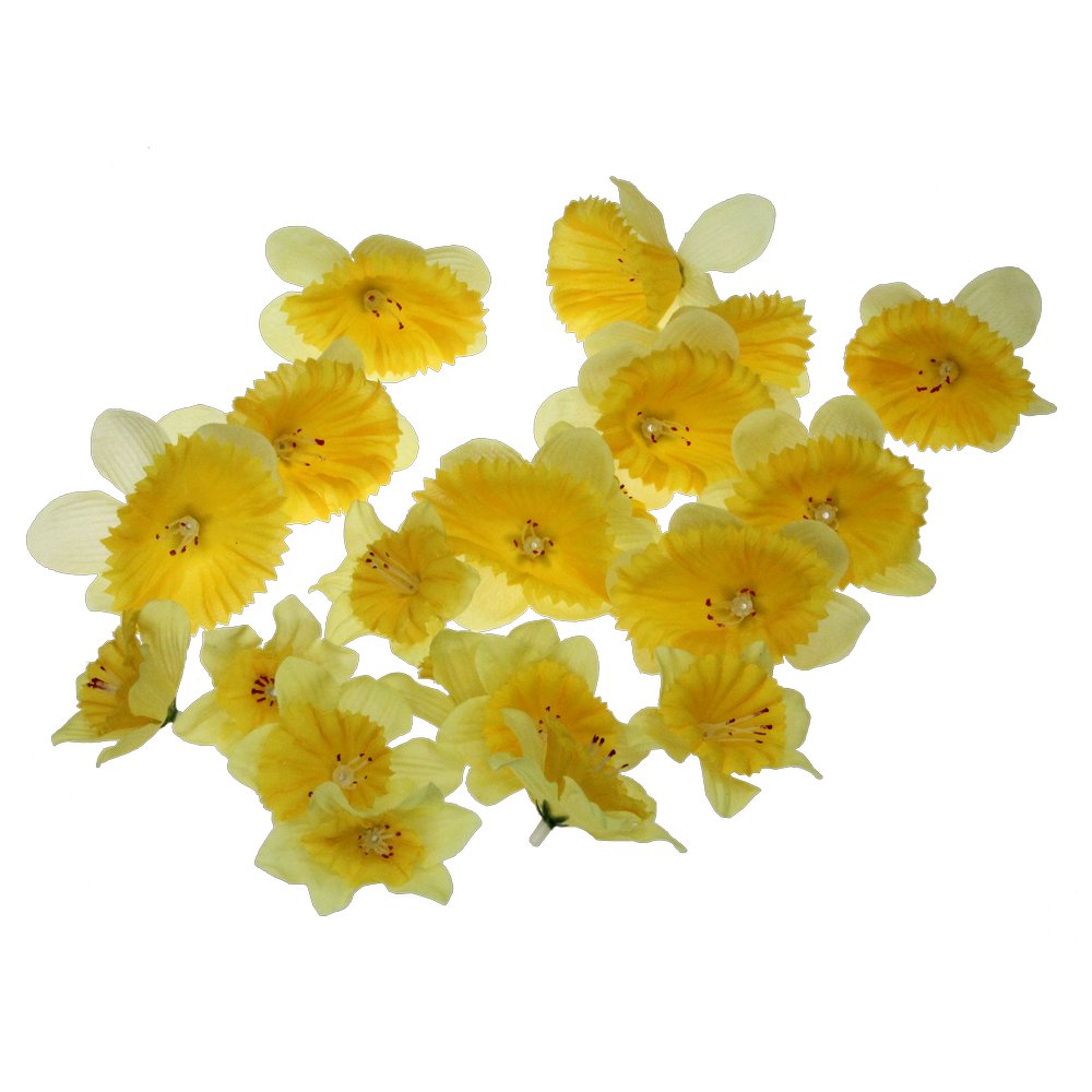 Osterglockenblüten 20 Stück gelb, Ø 6/9 cm