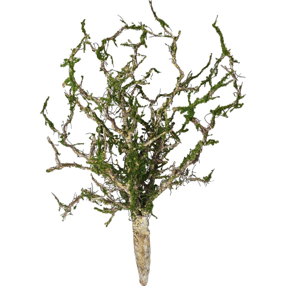 Zweige-Busch Twig mit Moos natur/grün,Ø30 x 50 cm