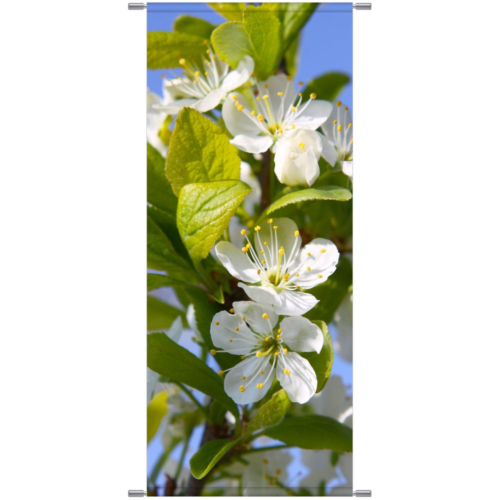 Banner Blütenzweig, 75 x 180 cm