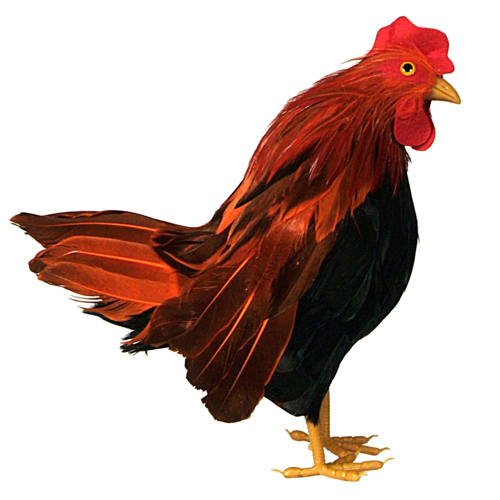 Huhn Tierattrappe klein stehend bunt, 25 cm